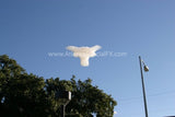 University of Texas Cloudvertising